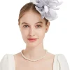 Fancy Headpiece with Clip and Headband