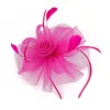 Floral Headband Fascinator with Sheer Design